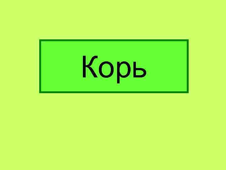 Корь 