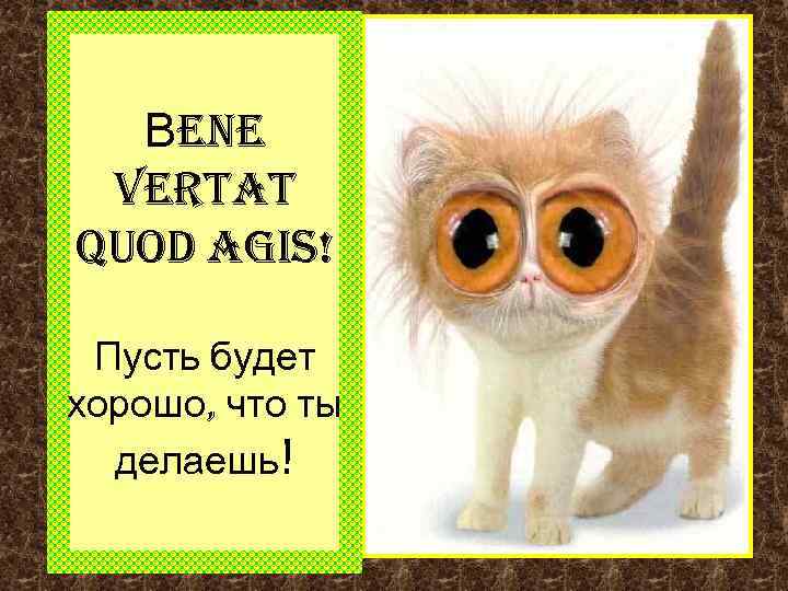 Вene vertat quod agis! Пусть будет хорошо, что ты делаешь! 