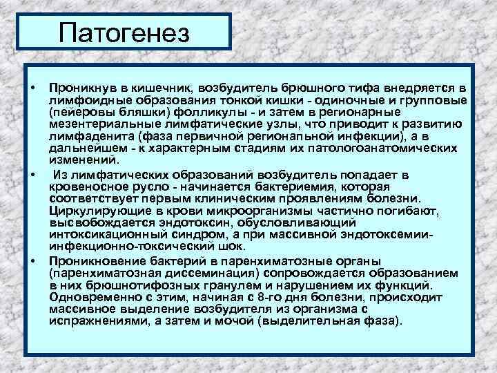 Патогенез • • • Проникнув в кишечник, возбудитель брюшного тифа внедряется в лимфоидные образования