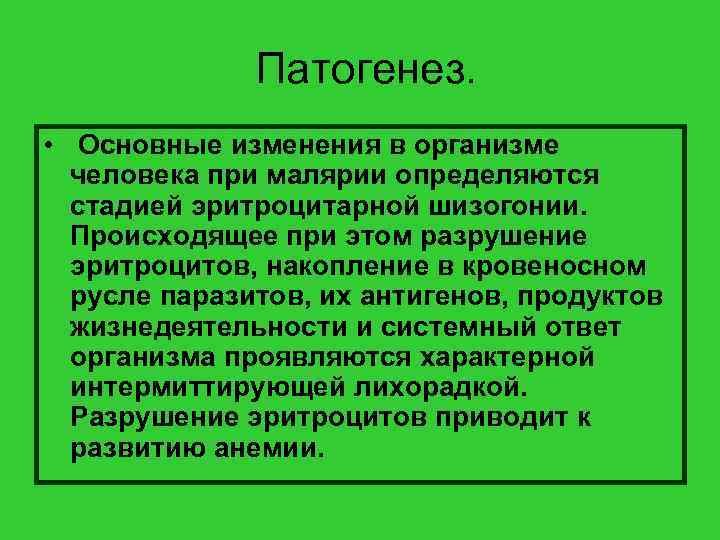  Патогенез. • Основные изменения в организме человека при малярии определяются стадией эритроцитарной шизогонии.