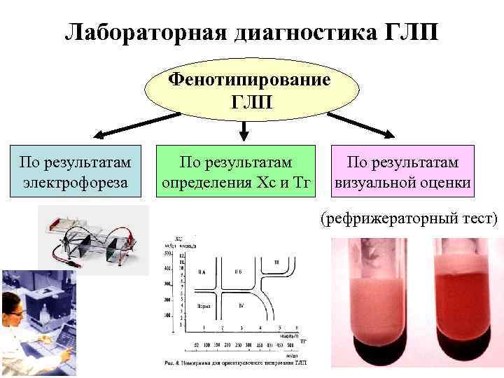 Лабораторная диагностика ГЛП Фенотипирование ГЛП По результатам электрофореза По результатам определения Хс и Тг