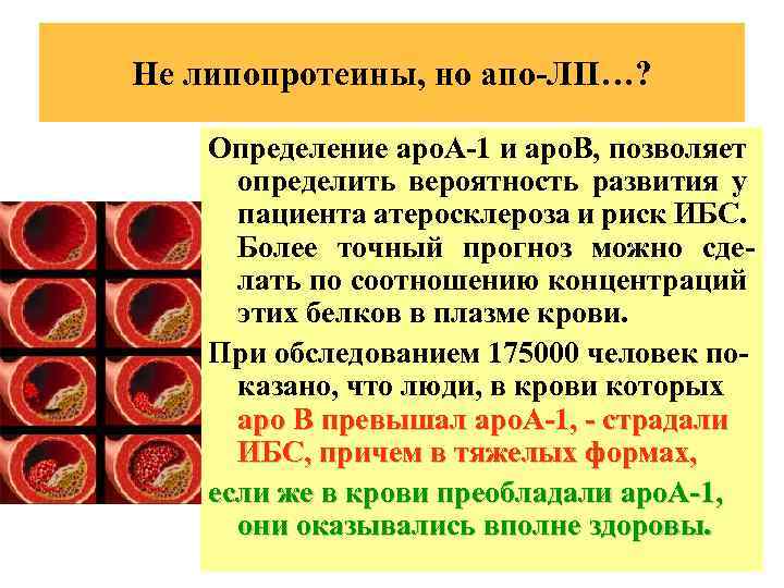 Не липопротеины, но апо-ЛП…? Определение аро. А-1 и аро. В, позволяет определить вероятность развития