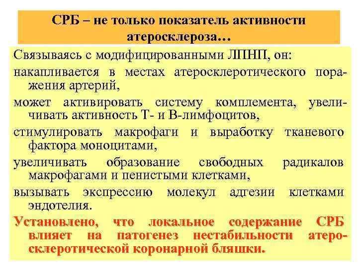 СРБ – не только показатель активности атеросклероза… Связываясь с модифицированными ЛПНП, он: накапливается в