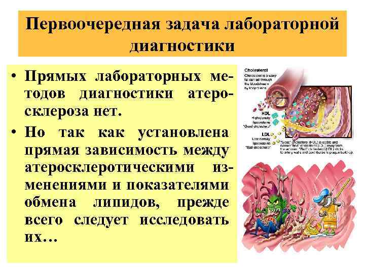 Первоочередная задача лабораторной диагностики • Прямых лабораторных методов диагностики атеросклероза нет. • Но так