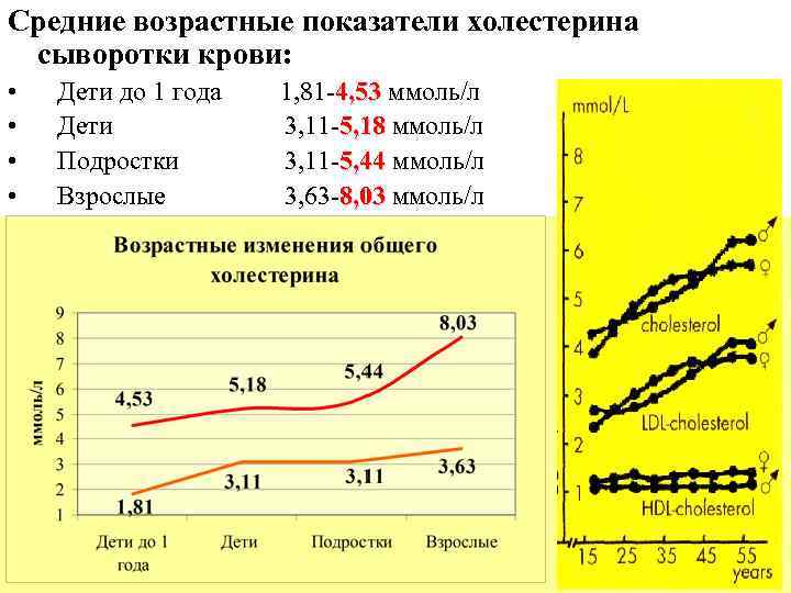 Средние возрастные показатели холестерина сыворотки крови: • • Дети до 1 года 1, 81