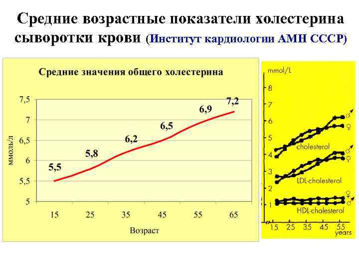 Средние возрастные показатели холестерина сыворотки крови (Институт кардиологии АМН СССР) 