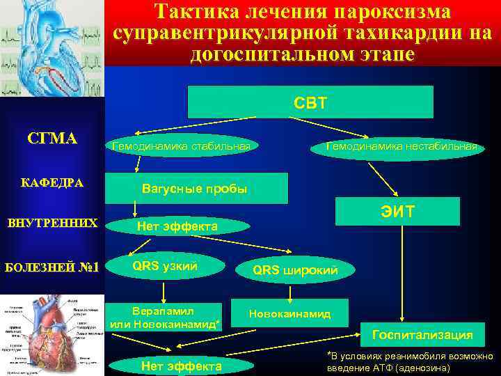 Тактика лечения пароксизма суправентрикулярной тахикардии на догоспитальном этапе СВТ СГМА КАФЕДРА ВНУТРЕННИХ БОЛЕЗНЕЙ №