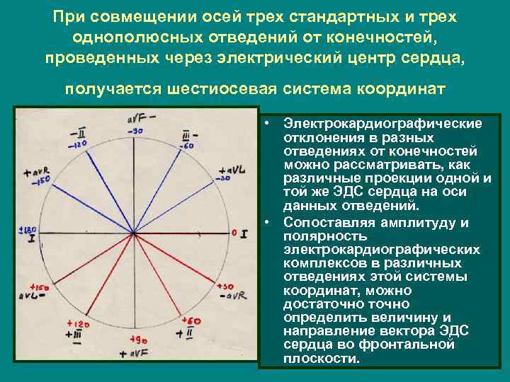 При совмещении осей трех стандартных и трех однополюсных отведений от конечностей, проведенных через электрический