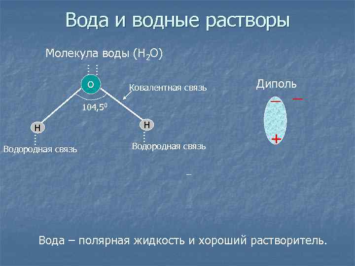 Вода и водные растворы Молекула воды (H 2 O). . . . O Ковалентная
