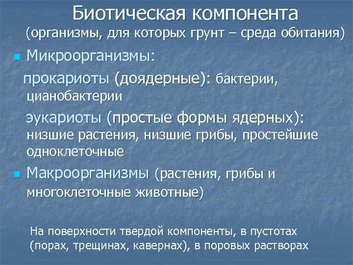 Биотическая компонента (организмы, для которых грунт – среда обитания) Микроорганизмы: прокариоты (доядерные): бактерии, n