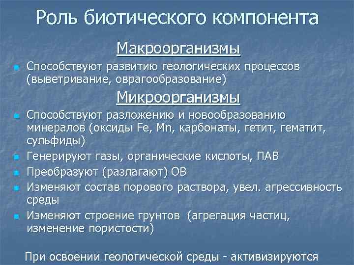Роль биотического компонента Макроорганизмы n Способствуют развитию геологических процессов (выветривание, оврагообразование) Микроорганизмы n n