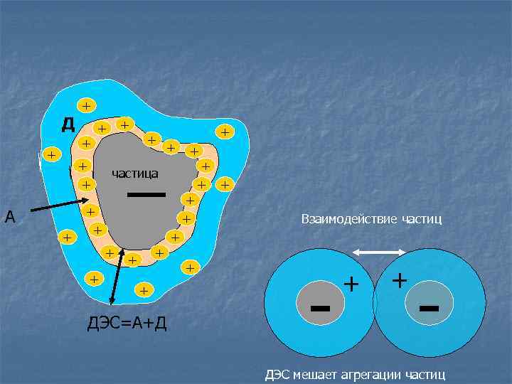 Д + + + А + + + _ + + + частица +