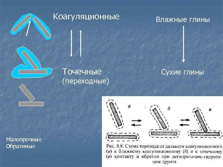 Коагуляционные Точечные (переходные) Малопрочные Обратимые Влажные глины Сухие глины 
