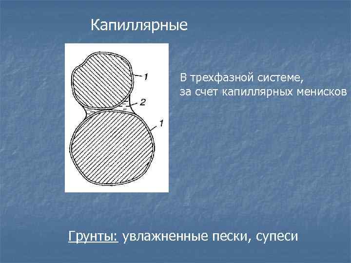 Капиллярные В трехфазной системе, за счет капиллярных менисков Грунты: увлажненные пески, супеси 