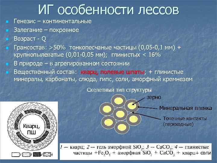 ИГ особенности лессов n n n Генезис – континентальные Залегание – покровное Возраст -