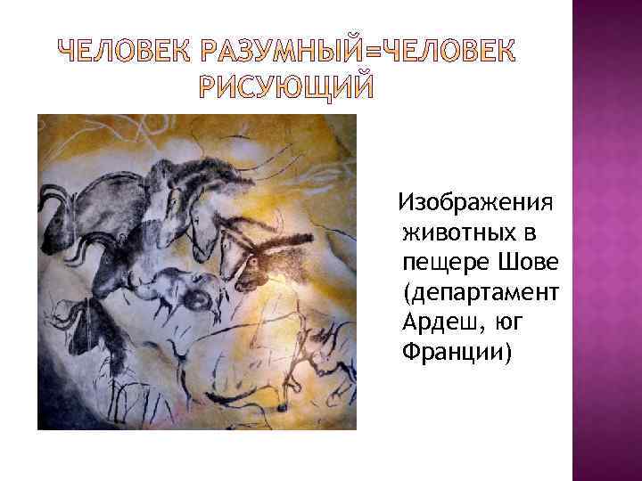 Изображения животных в пещере Шове (департамент Ардеш, юг Франции) 