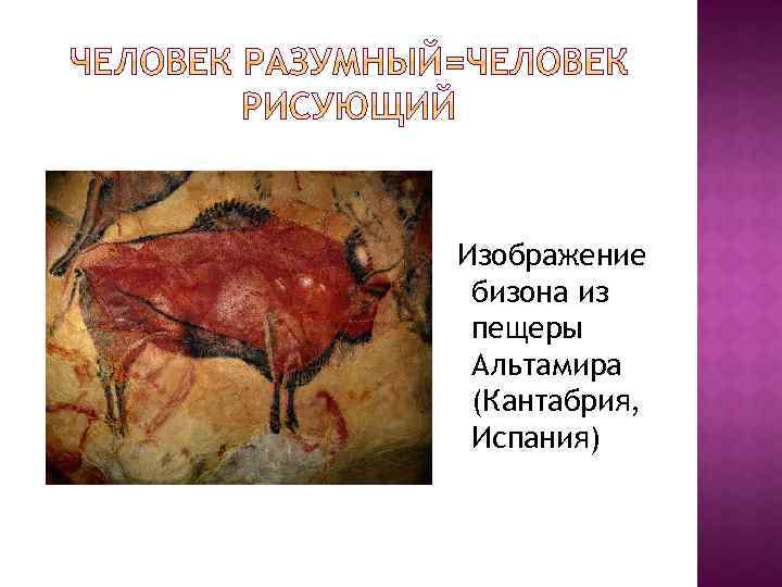 Изображение бизона из пещеры Альтамира (Кантабрия, Испания) 