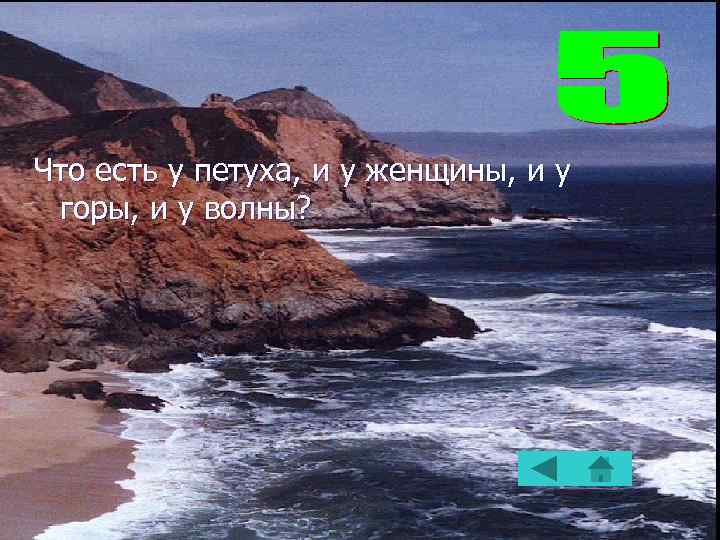 Что есть у петуха, и у женщины, и у горы, и у волны? 