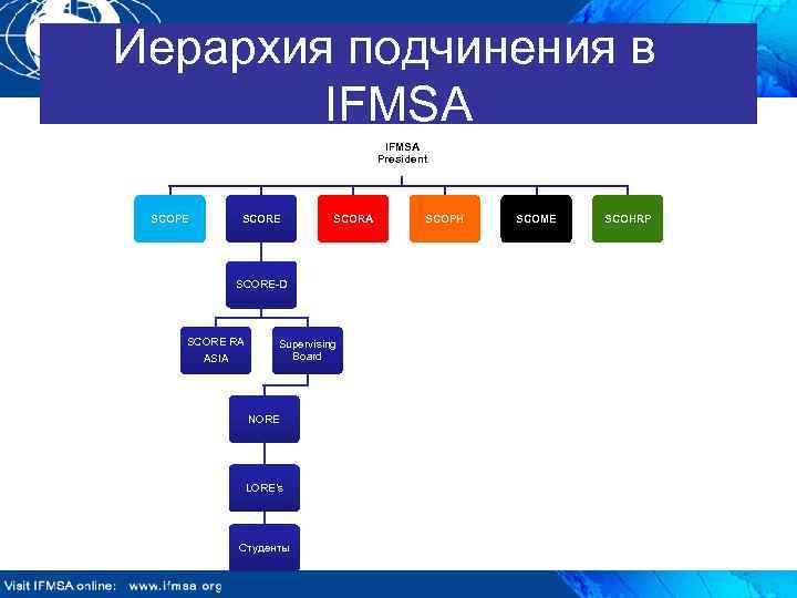 Иерархия подчинения в IFMSA President SCOPE SCORA SCORE-D SCORE RA ASIA Supervising Board NORE