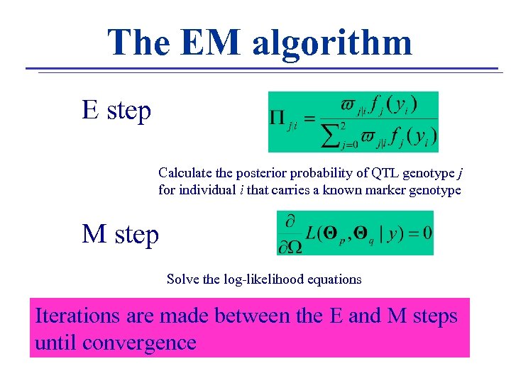 The EM algorithm E step Calculate the posterior probability of QTL genotype j for
