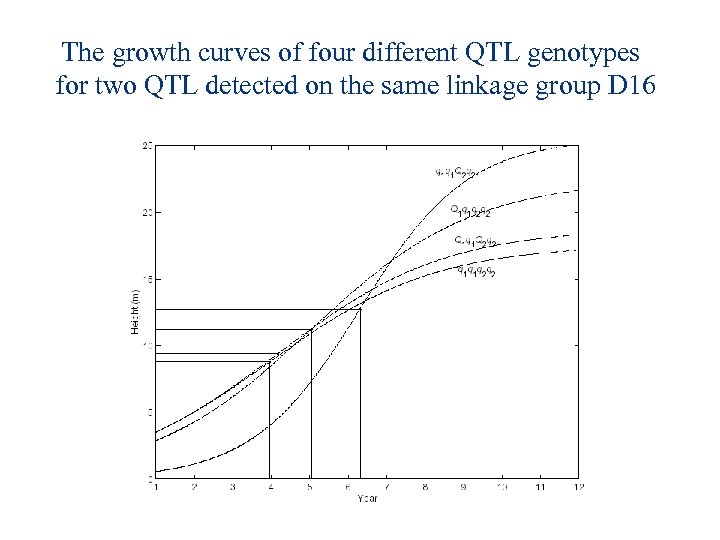 The growth curves of four different QTL genotypes for two QTL detected on the