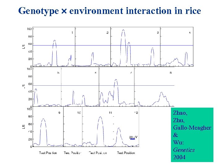 Genotype environment interaction in rice Zhao, Zhu, Gallo-Meagher & Wu: Genetics 2004 