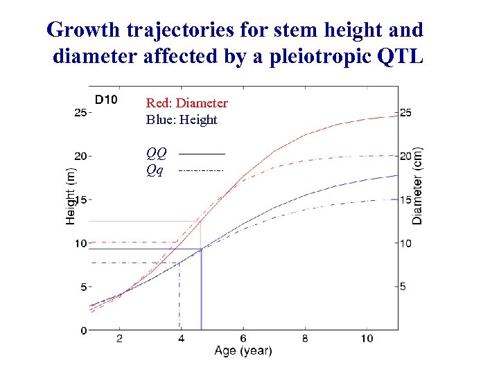 Growth trajectories for stem height and diameter affected by a pleiotropic QTL Red: Diameter