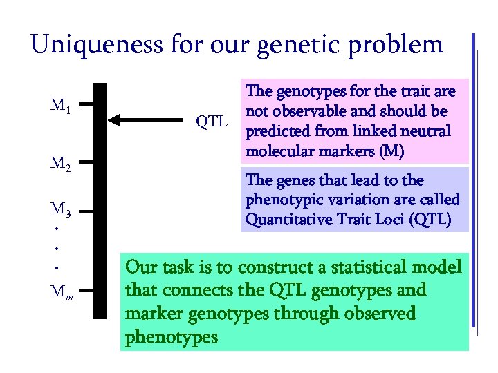 Uniqueness for our genetic problem M 1 M 2 M 3. . . Mm