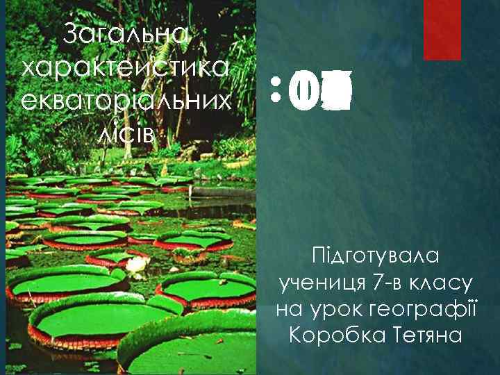 Загальна характеистика екваторіальних лісів : 10 01 02 03 04 05 06 07 08