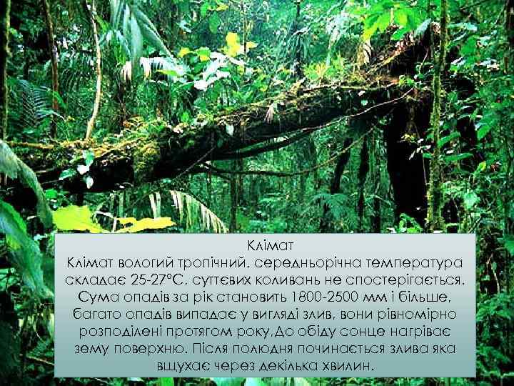 Клімат вологий тропічний, середньорічна температура складає 25 -27°С, суттєвих коливань не спостерігається. Сума опадів