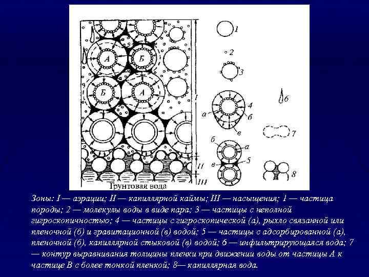 Зоны: I — аэрации; II — капиллярной каймы; III — насыщения; 1 — частица