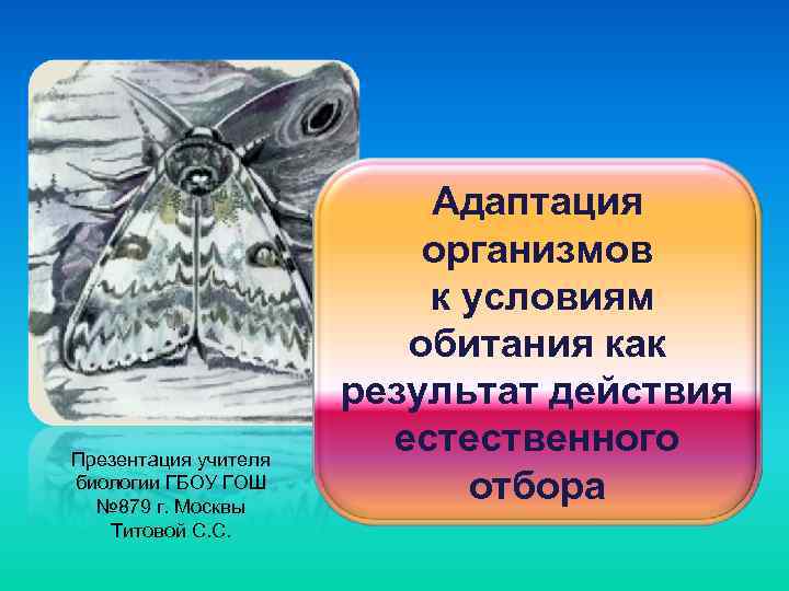 Презентация учителя биологии ГБОУ ГОШ № 879 г. Москвы Титовой С. С. Адаптация организмов