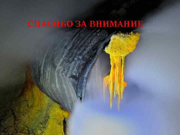 СПАСИБО ЗА ВНИМАНИЕ 