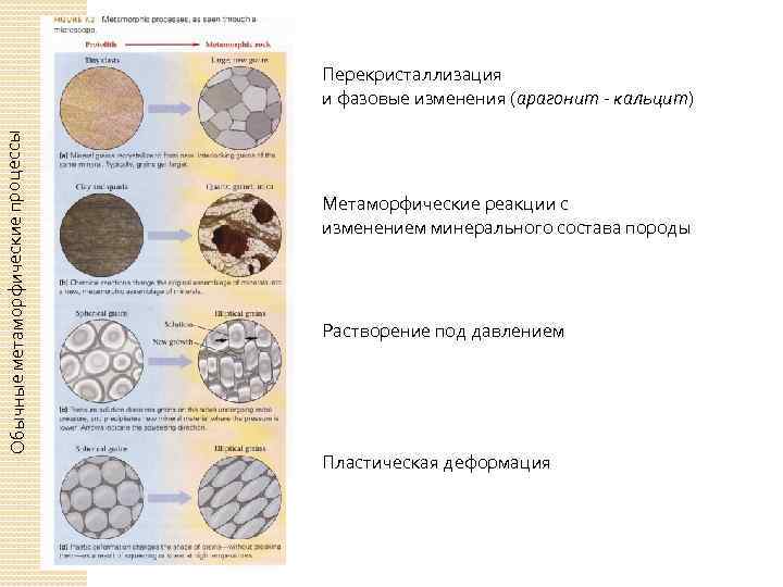 Обычные метаморфические процессы Перекристаллизация и фазовые изменения (арагонит - кальцит) Метаморфические реакции с изменением