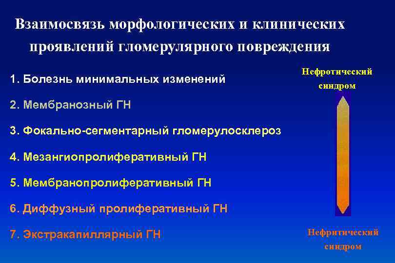 Взаимосвязь морфологических и клинических проявлений гломерулярного повреждения 1. Болезнь минимальных изменений Нефротический синдром 2.