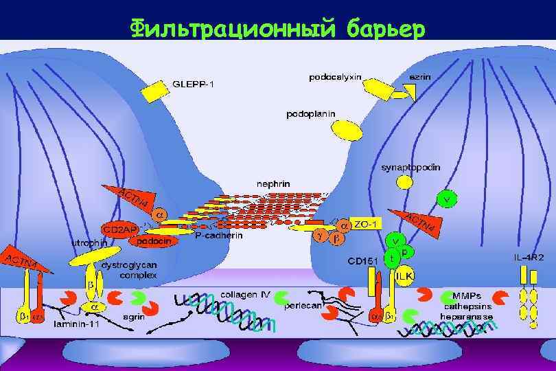 Фильтрационный барьер 