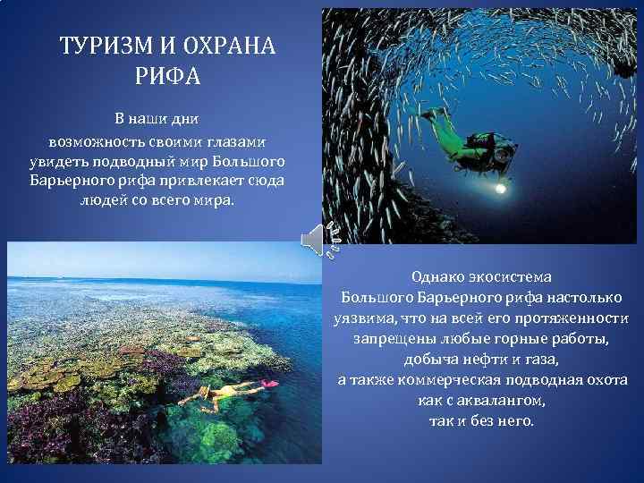 ТУРИЗМ И ОХРАНА РИФА В наши дни возможность своими глазами увидеть подводный мир Большого