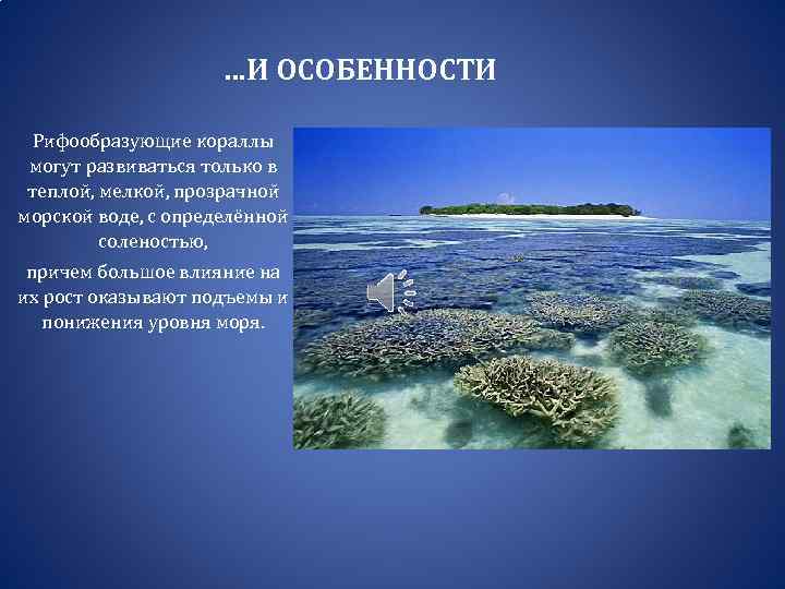 …И ОСОБЕННОСТИ Рифообразующие кораллы могут развиваться только в теплой, мелкой, прозрачной морской воде, с