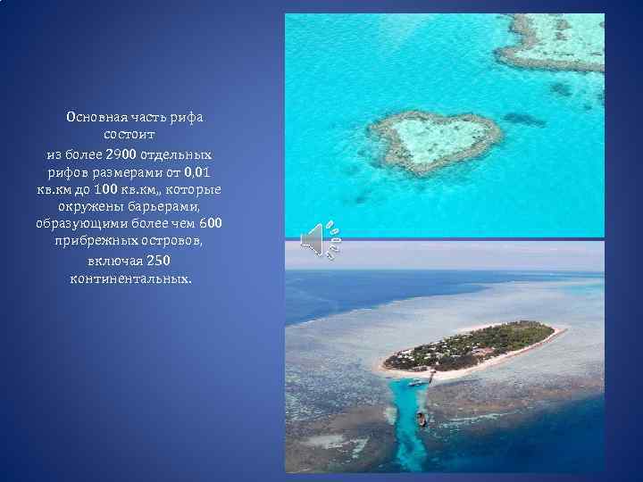 Основная часть рифа состоит из более 2900 отдельных рифов размерами от 0, 01 кв.