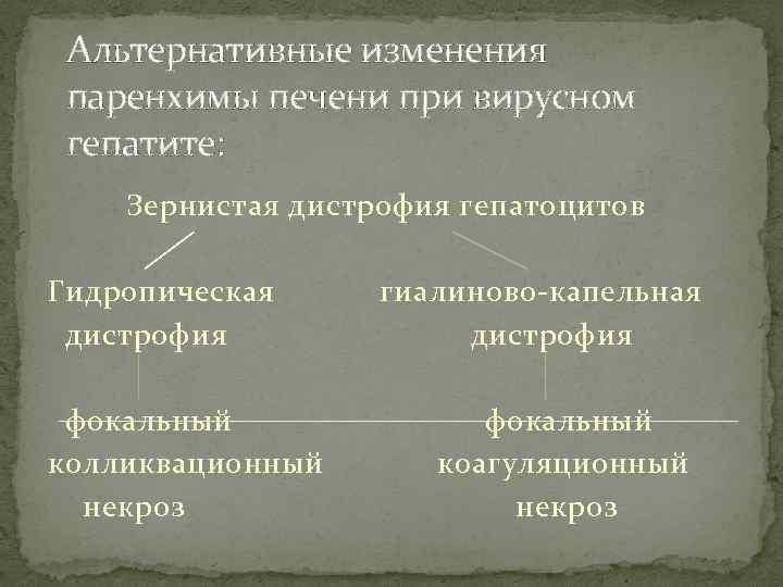 Альтернативные изменения паренхимы печени при вирусном гепатите: Зернистая дистрофия гепатоцитов Гидропическая дистрофия фокальный колликвационный