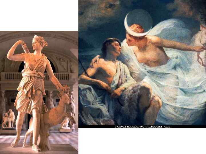 Диана • Богиней - покровительницей животных, цветущих полей, зеленых рощ и лесов, где она