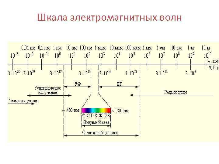 На рисунке представлена схема спектра электромагнитных волн