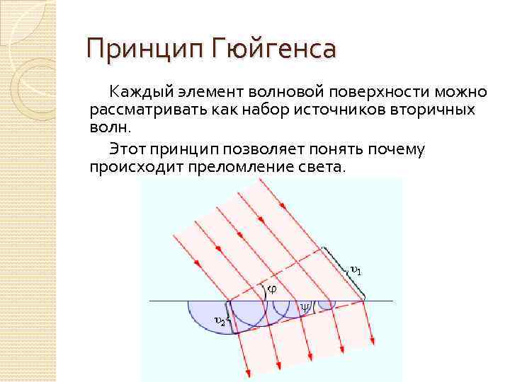 Принцип света