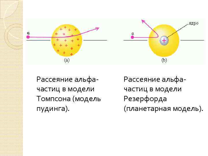 Модель томпсона рисунок