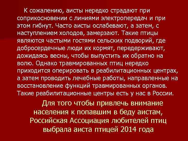  К сожалению, аисты нередко страдают при соприкосновении с линиями электропередач и при этом