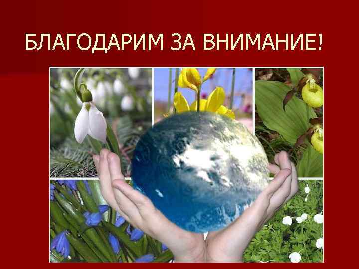 БЛАГОДАРИМ ЗА ВНИМАНИЕ! 