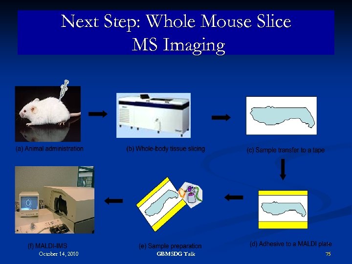 Next Step: Whole Mouse Slice MS Imaging October 14, 2010 GBMSDG Talk 75 