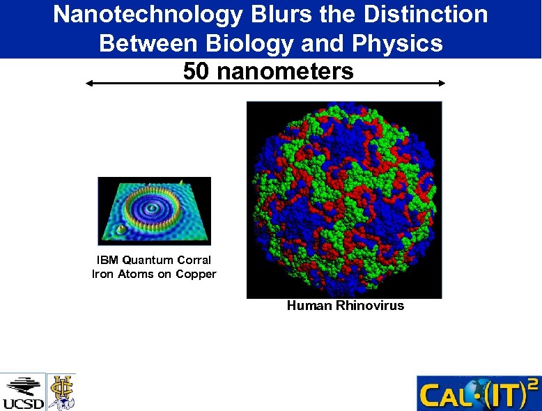 Nanotechnology Blurs the Distinction Between Biology and Physics 50 nanometers IBM Quantum Corral Iron