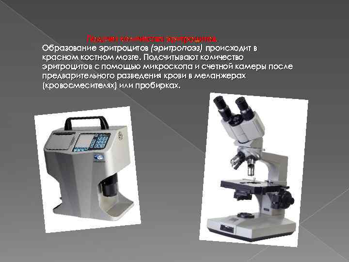 Подсчет количества эритроцитов. Образование эритроцитов (эритропоэз) происходит в красном костном мозге. Подсчитывают количество эритроцитов