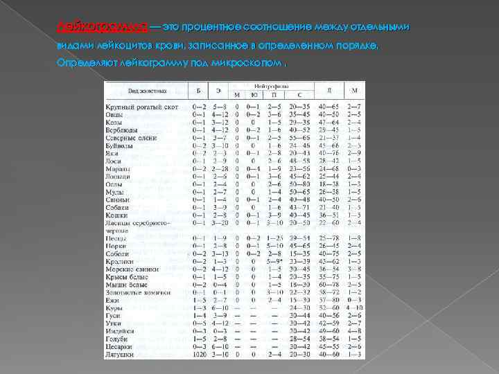 Лейкограмма — это процентное соотношение между отдельными видами лейкоцитов крови, записанное в определенном порядке.